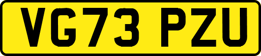 VG73PZU