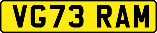 VG73RAM
