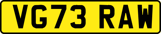 VG73RAW
