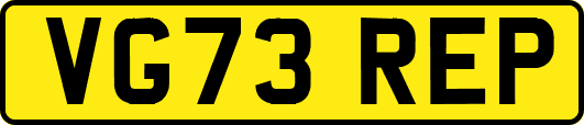 VG73REP