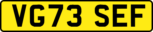 VG73SEF