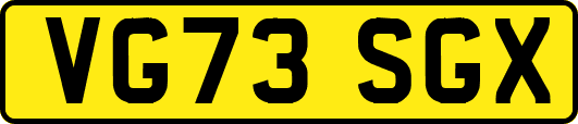 VG73SGX