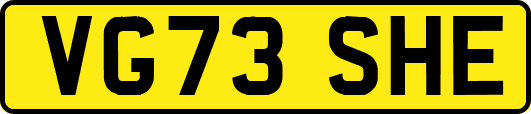 VG73SHE