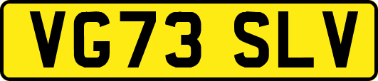 VG73SLV