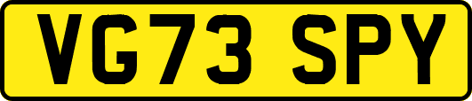 VG73SPY