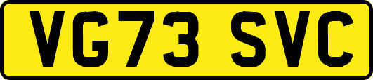 VG73SVC