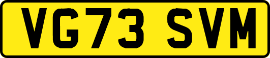 VG73SVM
