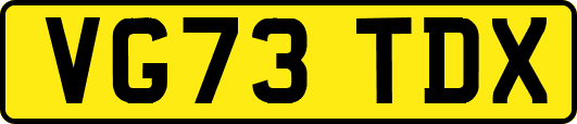VG73TDX