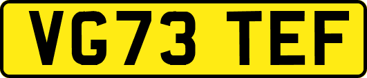 VG73TEF