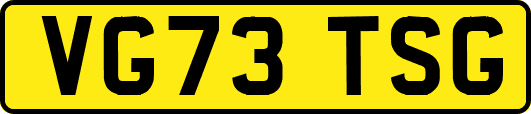 VG73TSG