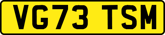 VG73TSM