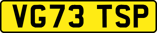 VG73TSP