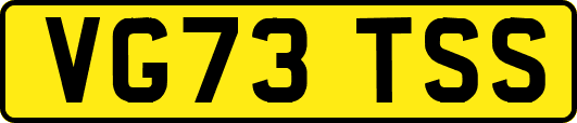 VG73TSS