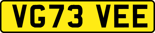 VG73VEE