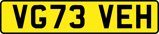 VG73VEH