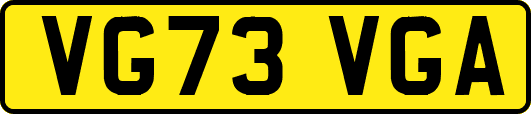 VG73VGA