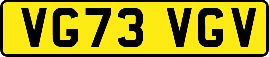 VG73VGV