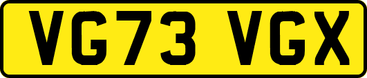 VG73VGX