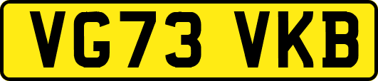 VG73VKB