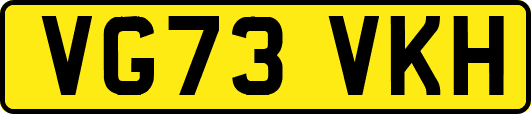 VG73VKH