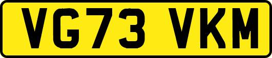 VG73VKM