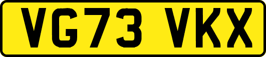 VG73VKX