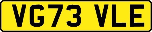 VG73VLE