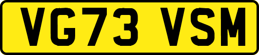 VG73VSM