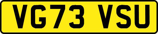 VG73VSU