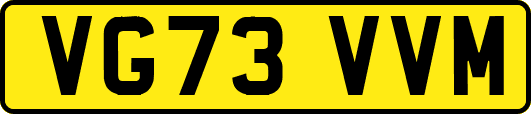 VG73VVM