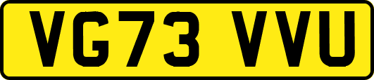 VG73VVU