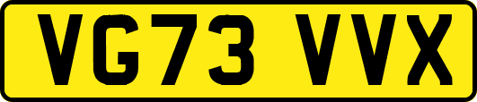 VG73VVX