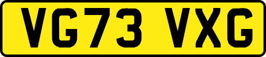 VG73VXG
