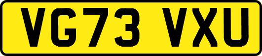 VG73VXU