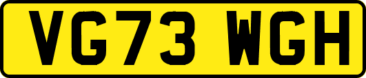 VG73WGH