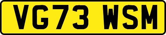 VG73WSM