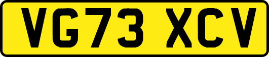 VG73XCV