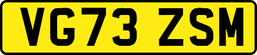 VG73ZSM