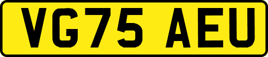 VG75AEU