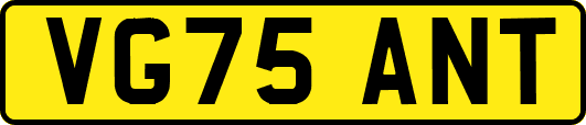 VG75ANT
