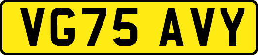 VG75AVY