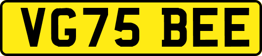 VG75BEE