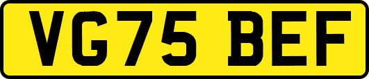 VG75BEF