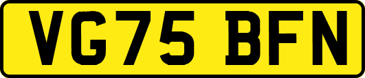 VG75BFN