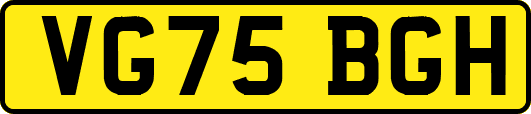 VG75BGH