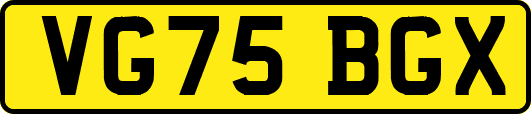 VG75BGX