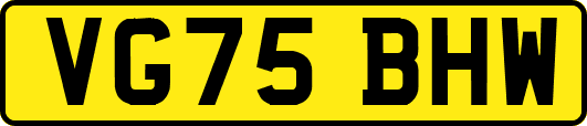 VG75BHW