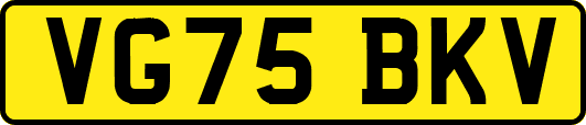 VG75BKV