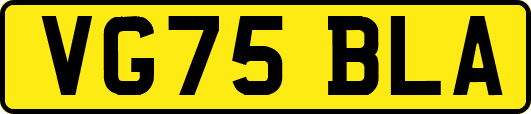VG75BLA