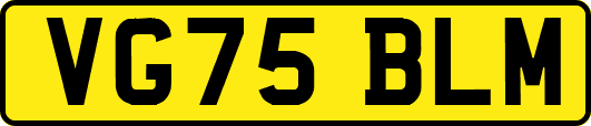 VG75BLM